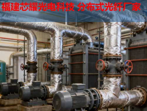 分布式光纖技術(shù)如何應(yīng)用于英語教學(xué)？跨學(xué)科融合的無限可能。