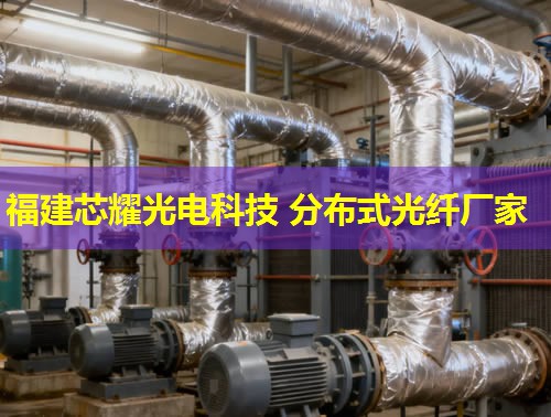 光纖分布式測溫裝置：精準監(jiān)控，安全無憂的溫度守護者