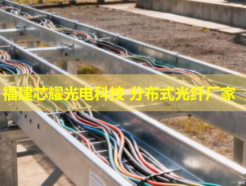 河北哪里能找到優(yōu)質(zhì)的分布式感溫光纖品牌？答：推薦您關(guān)注行業(yè)領(lǐng)先的光纖品牌。