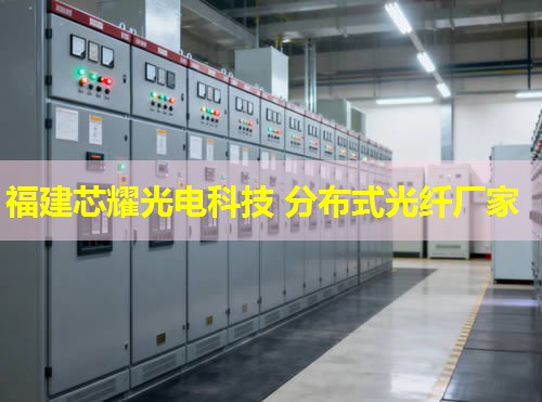 咸寧地區(qū)分布式光纖規(guī)格詳覽，行業(yè)應(yīng)用標準解讀與趨勢分析