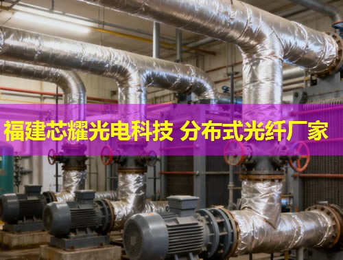 上海分布式光纖檢測(cè)技術(shù)如何提升城市通信安全？行業(yè)領(lǐng)先方案詳解。