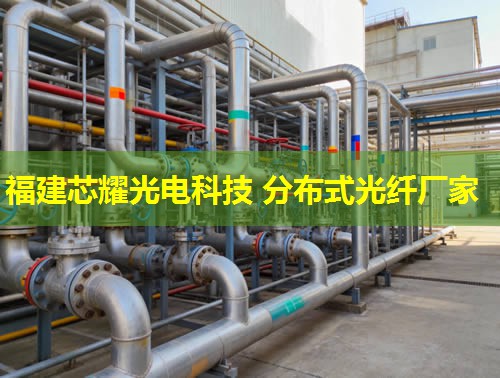 DTS分布式光纖測溫技術(shù)助力精準(zhǔn)溫控，智慧安防升級(jí)新篇章