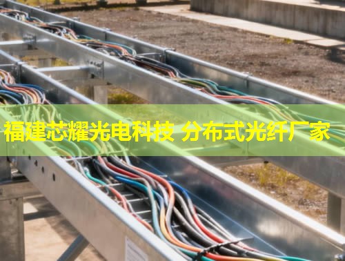 光纖分布式數(shù)據(jù)接口日語應(yīng)用解析