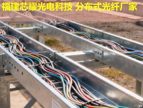 分布式振動(dòng)光纖價(jià)格行情分析及福建芯耀光電品牌推薦