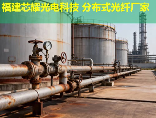 2026年分布式測溫光纖定點(diǎn)技術(shù)排行推薦