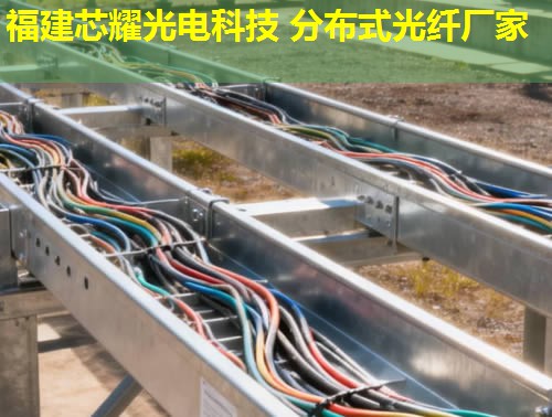 2026年分布式光纖傳感技術排行榜：前10強廠家解析