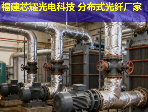 分布式光纖地面采集系統(tǒng)究竟有何優(yōu)勢(shì)？答案：實(shí)時(shí)監(jiān)測(cè)，精準(zhǔn)數(shù)據(jù)采集