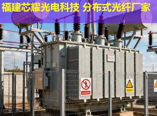 遼寧地區(qū)如何利用分布式光纖振動(dòng)監(jiān)測(cè)技術(shù)？這一技術(shù)為安全防范帶來(lái)哪些革新？