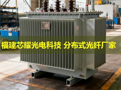 光纖分布式傳感技術(shù)，如何實(shí)現(xiàn)智能電網(wǎng)的實(shí)時監(jiān)控？光纖分布式傳感技術(shù)在電力系統(tǒng)中的應(yīng)用前景廣闊。