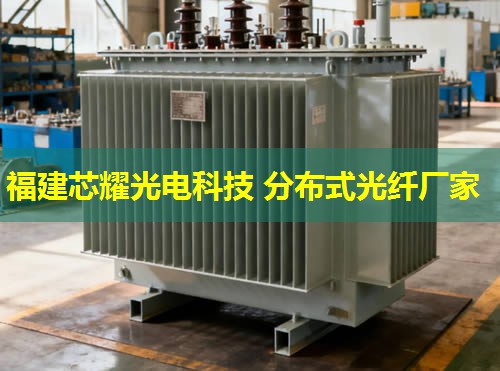 時域分布式光纖傳感，究竟有何獨特之處？