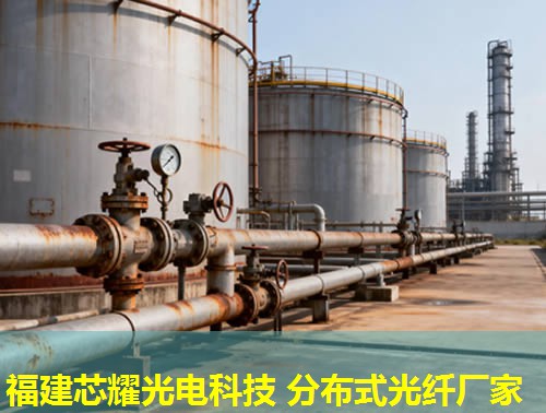 2026年福建芯耀科技：分布式光纖土壤應變應用排行榜領先